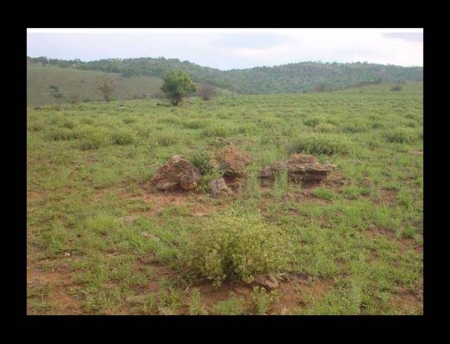 FARM FOR SALE IN CENTURION